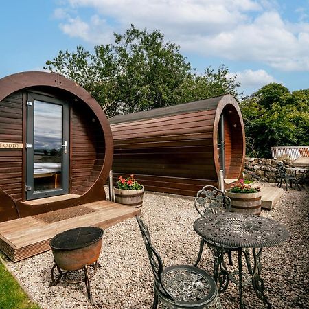 Delny Glamping And Farm Animals Hotel Invergordon Exterior foto