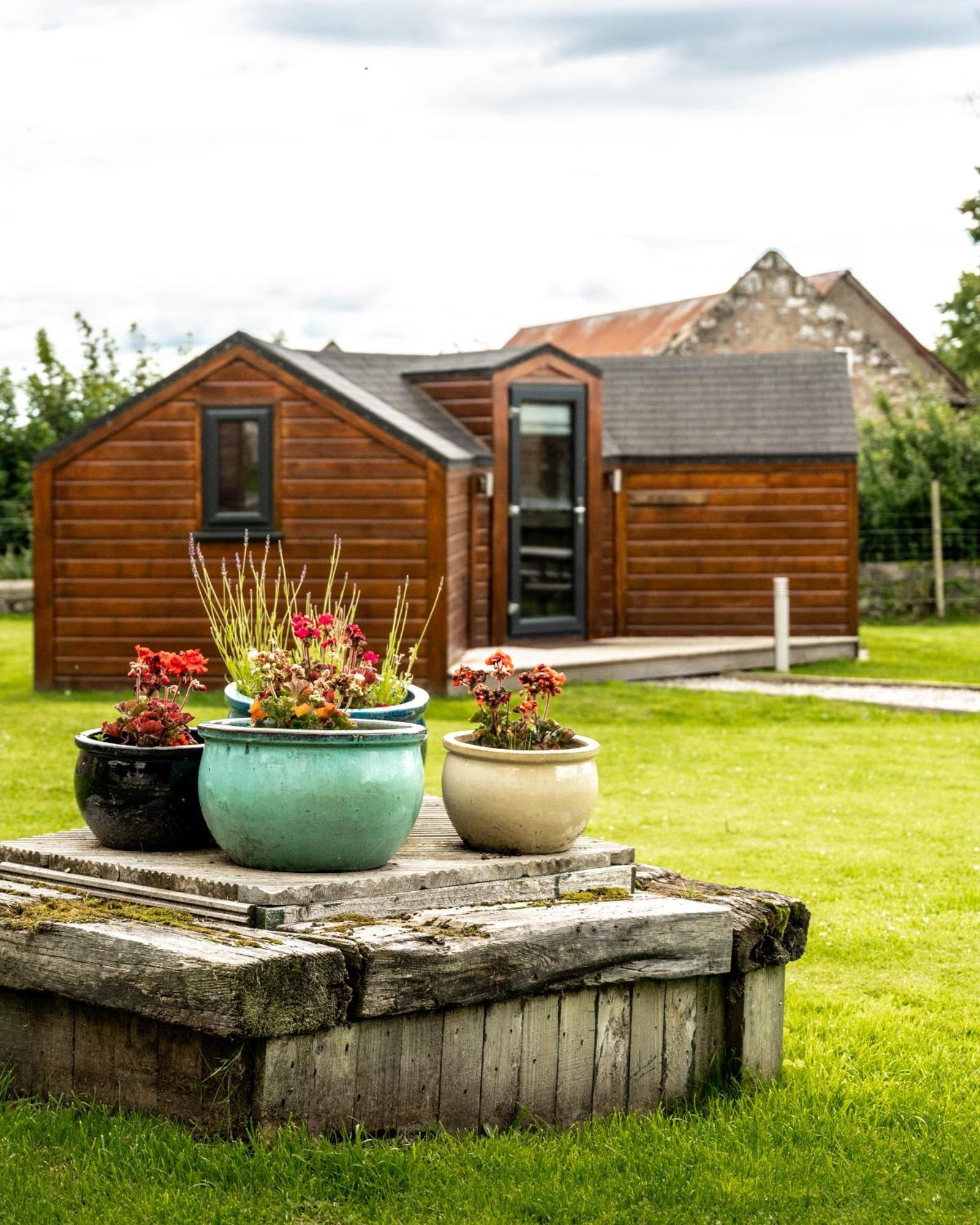 Delny Glamping And Farm Animals Hotel Invergordon Exterior foto